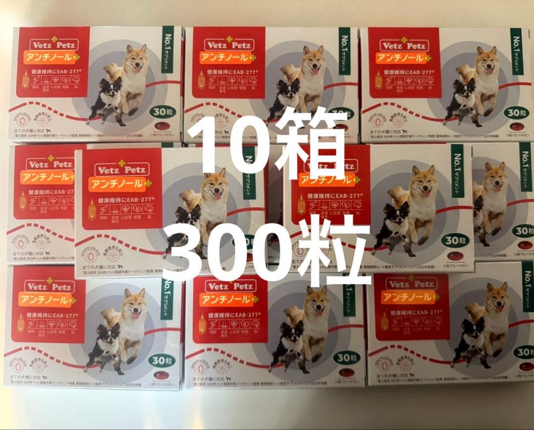 アンチノール　アンチノールプラス　300粒