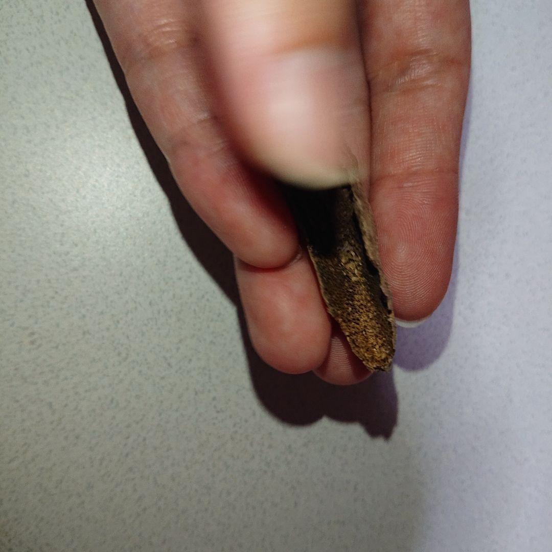 香木 沈香 伽羅 聞香◎品名極上カンボジア産奇形種