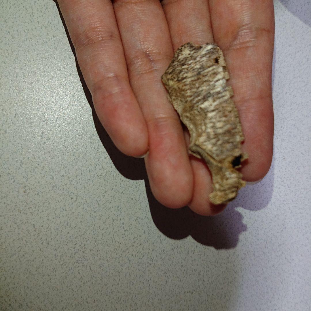 香木 沈香 伽羅 聞香◎品名極上カンボジア産奇形種