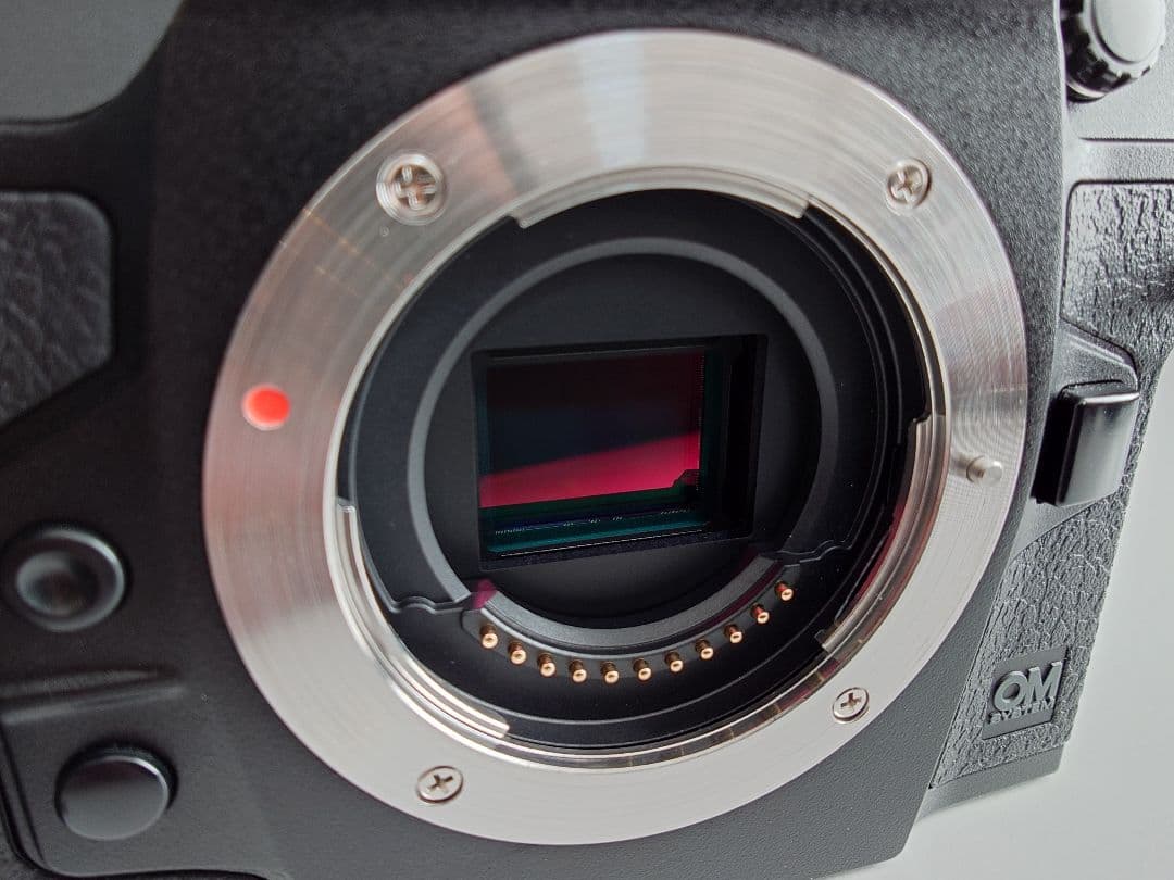 【美品・ショット数8798】OM SYSTEM OM-1 ボディ