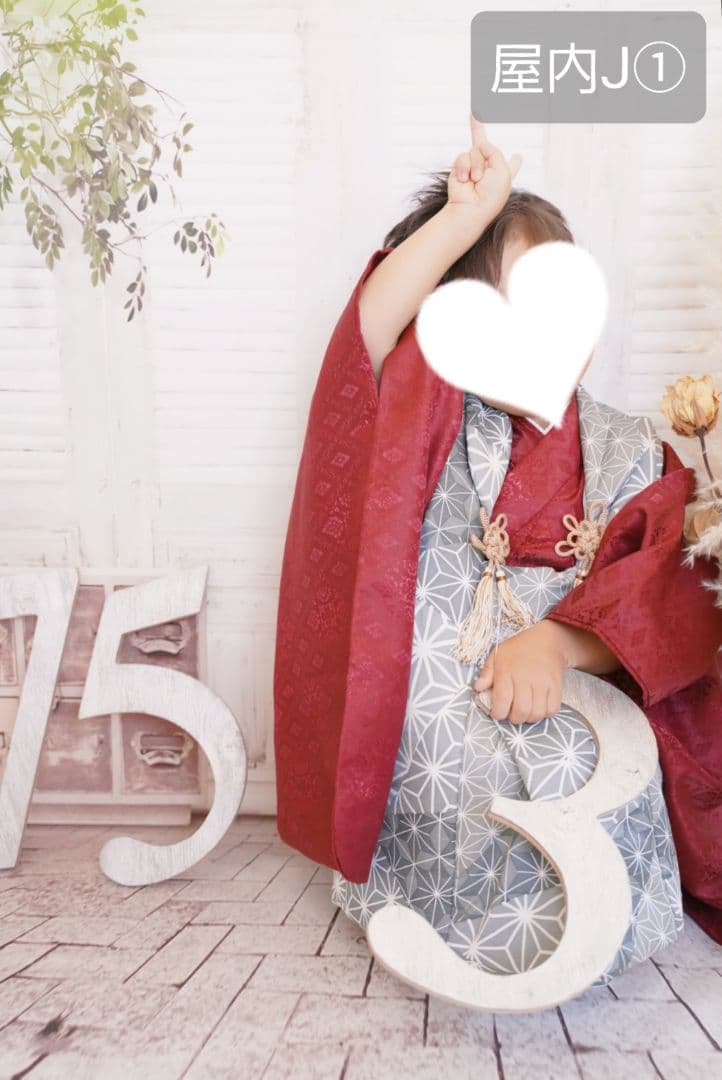 背景布【ガーデンG】サンプル　ペット、ドール撮影用ブース　薔薇　紫陽花　梅雨