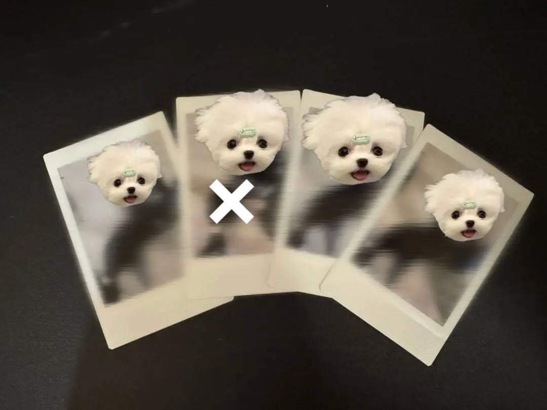 amptak でこツイ ちぐさくん チェキ 実写