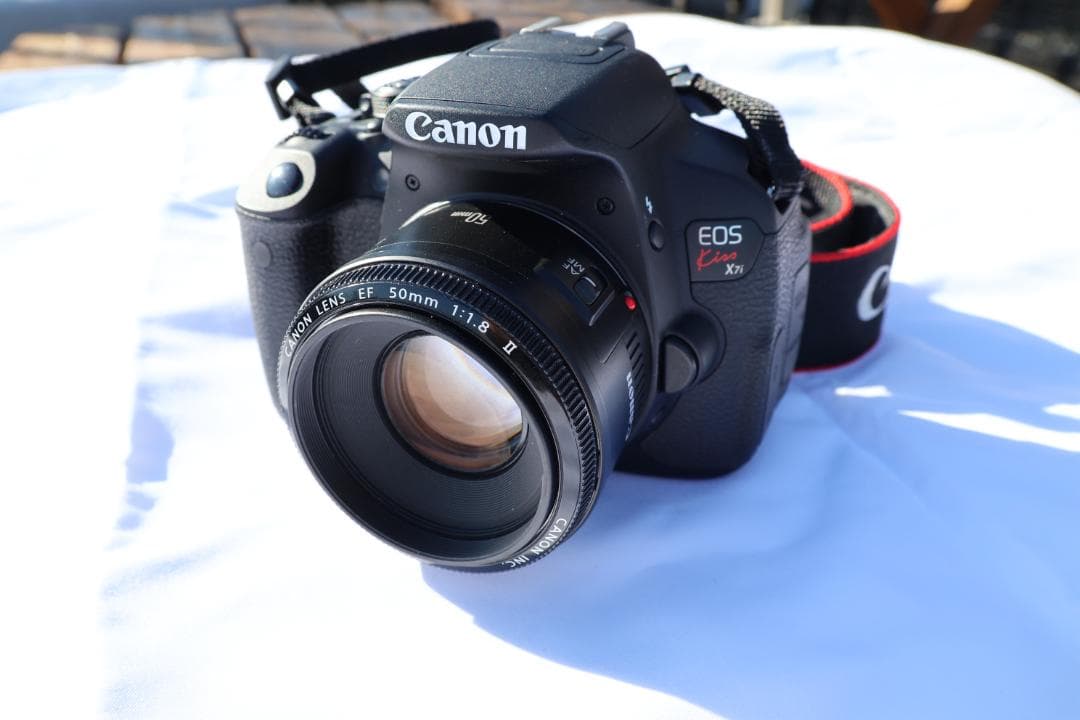 【レンズ2本】EOS Kiss X7i EF-S18-135IS &EF50mm