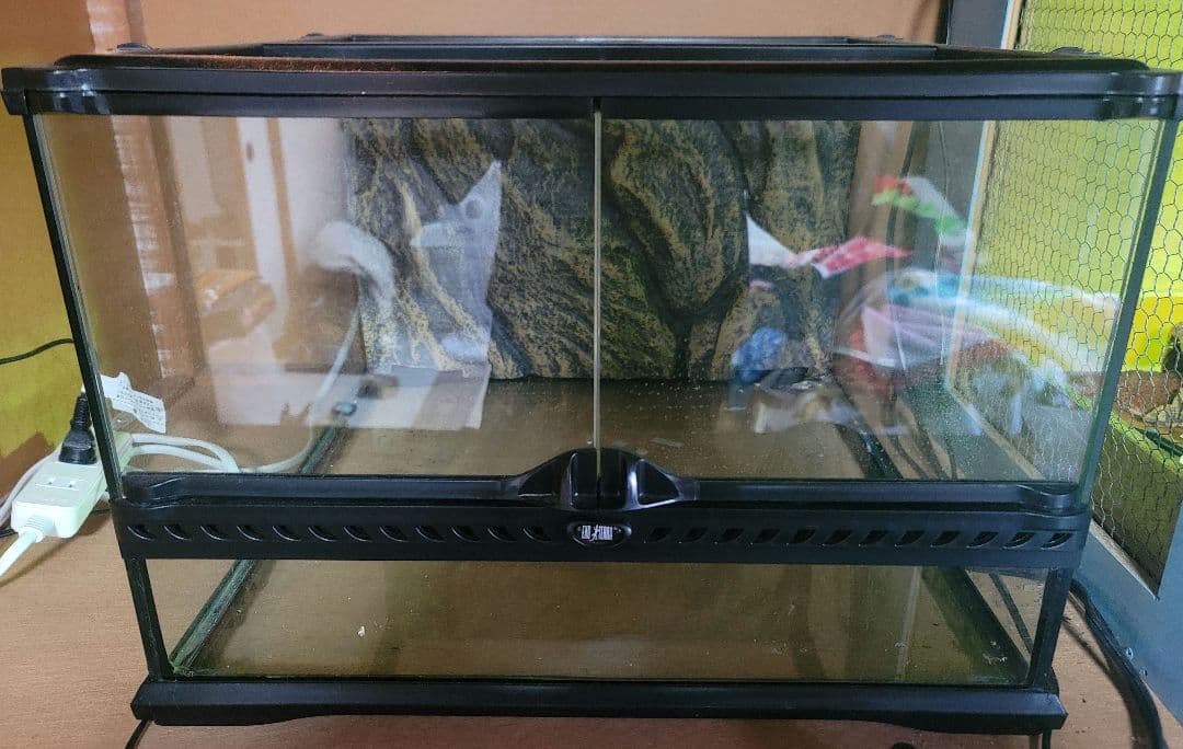 爬虫類飼育セット一式‼️まとめ売り