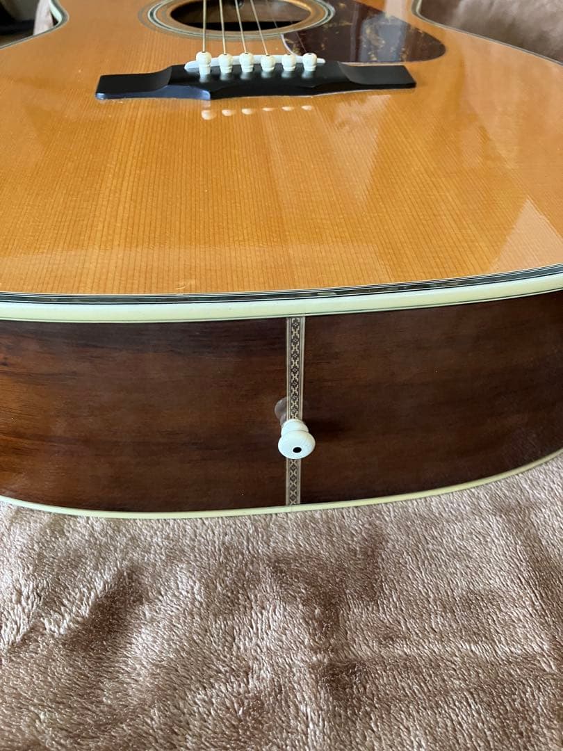 値下げ　MORRIS MF601 スプルース/ハカランダ