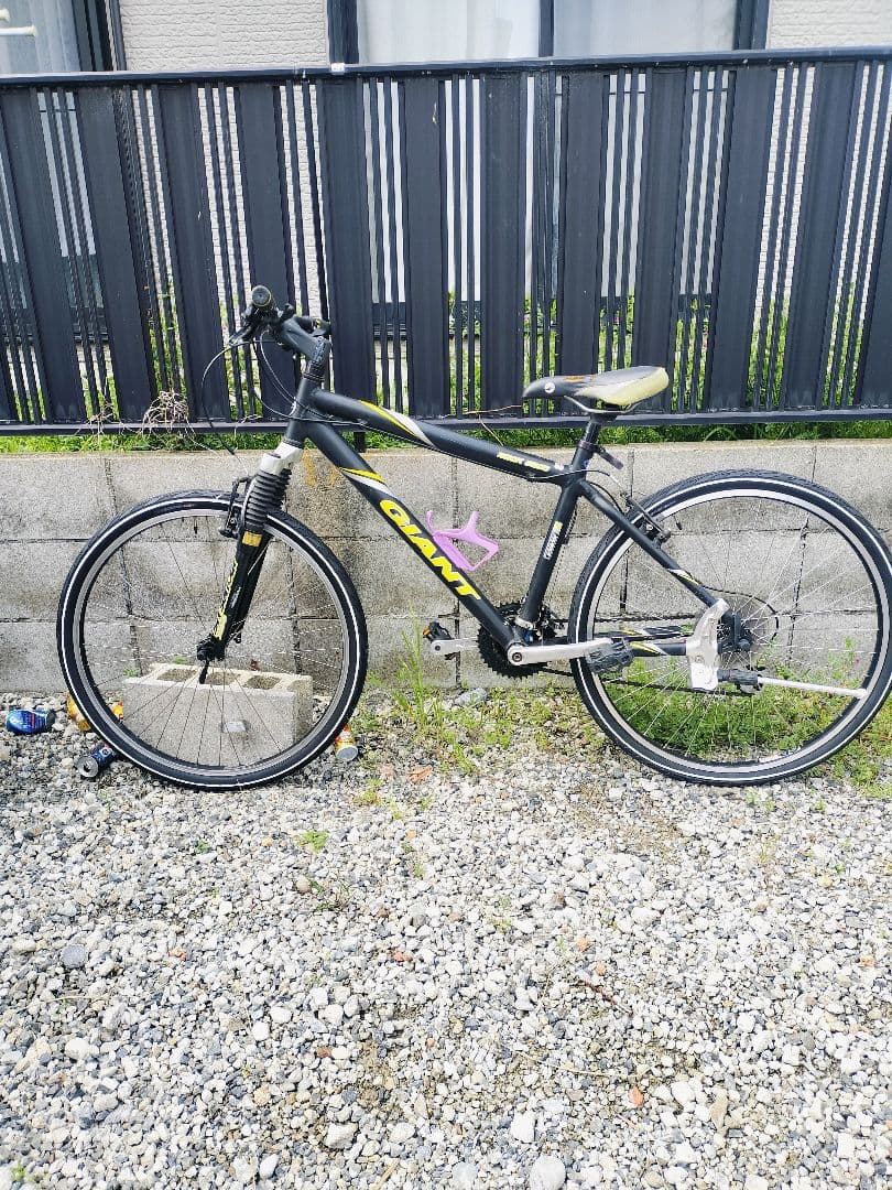 Treed Giant Rock5000 直接引取歓迎近県配送可