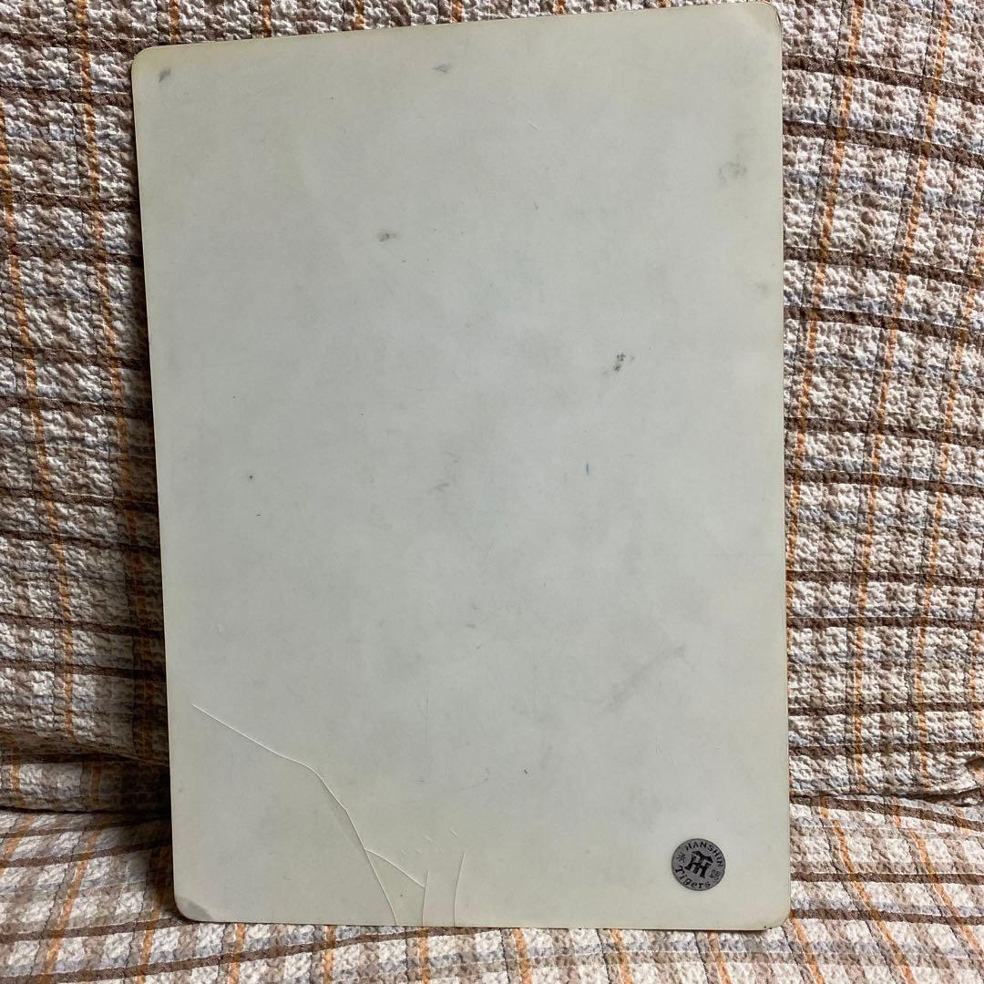 ㊙️ウルトラレア㊙️新庄剛志　下敷き