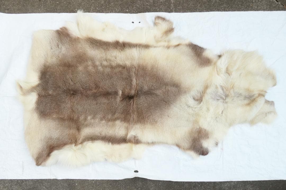 トナカイ　毛皮　　ラグ　敷物　キャンプ　ブッシュクラフト