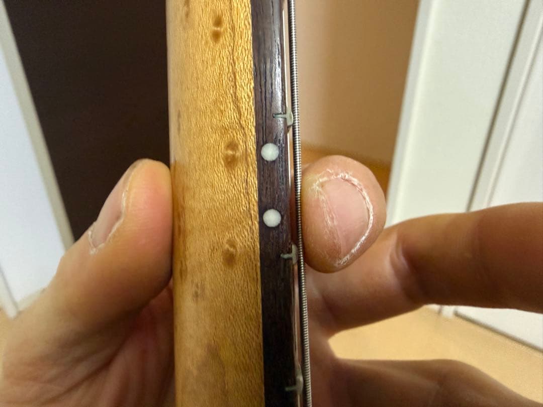 Music Man JP6 John Petrucciモデル