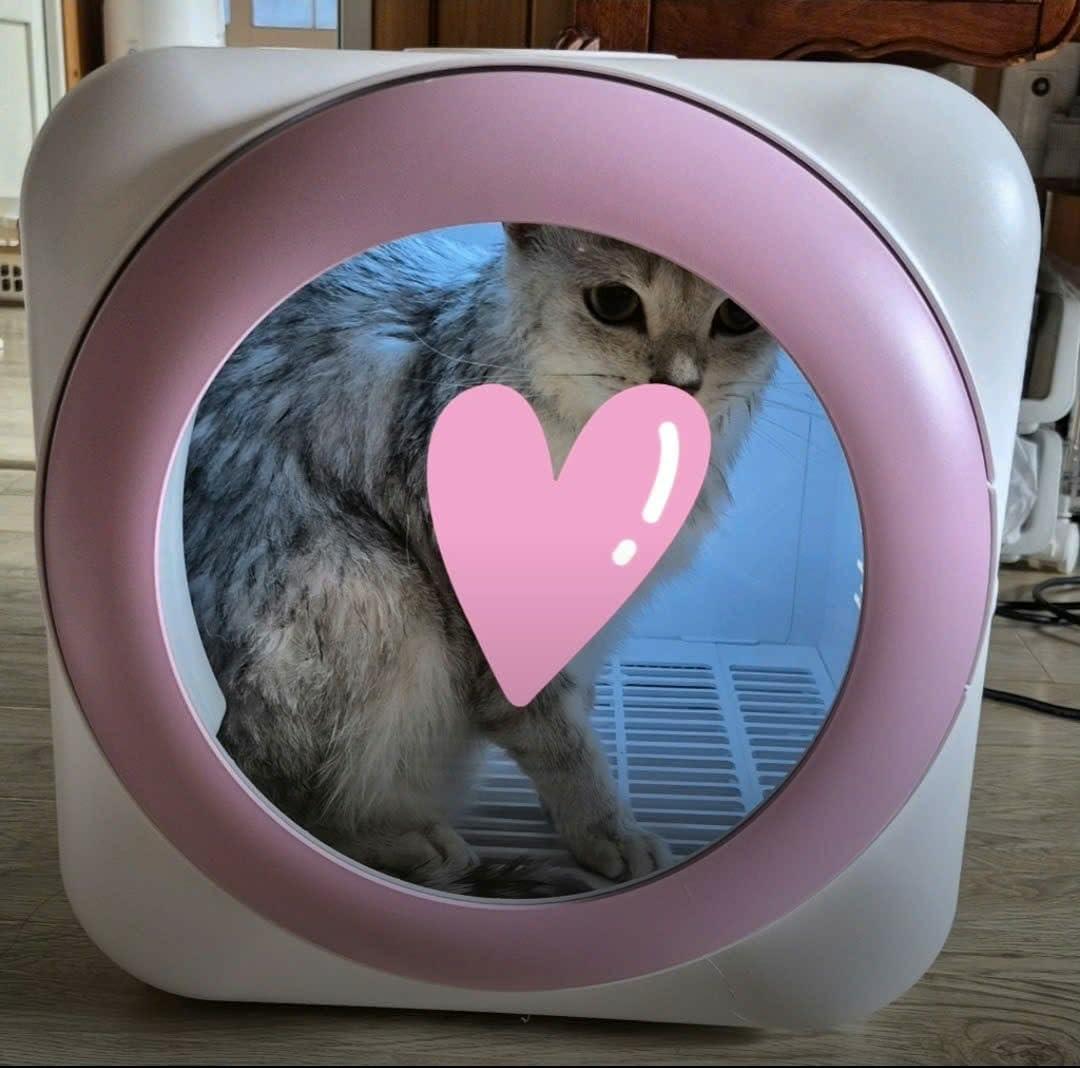 YIMAIDA ペットドライルーム 62 L PSE認証 多頭飼い対応（猫・犬p