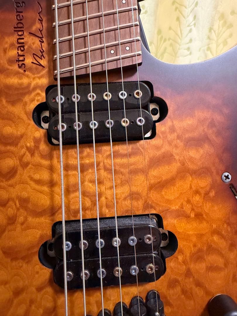 ギター Strandberg Boden Standard6 BKP Aftermath