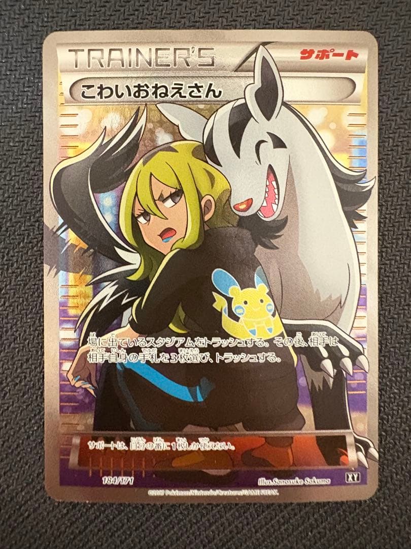 トレーナーカード　7枚セット