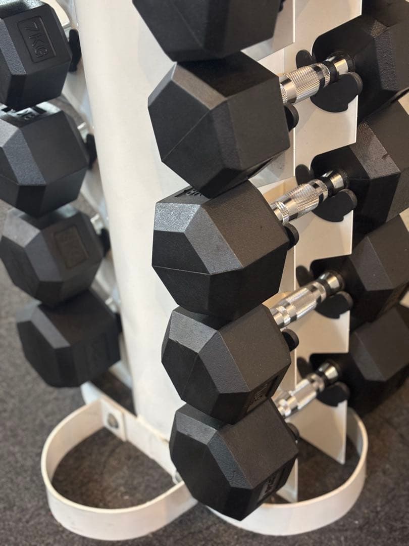専用！ダンベルタワー　ダンベル1〜10㎏セット