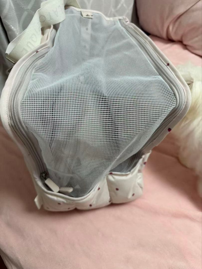 【GELATO PIQUE】いちごキャリーバッグ　美品