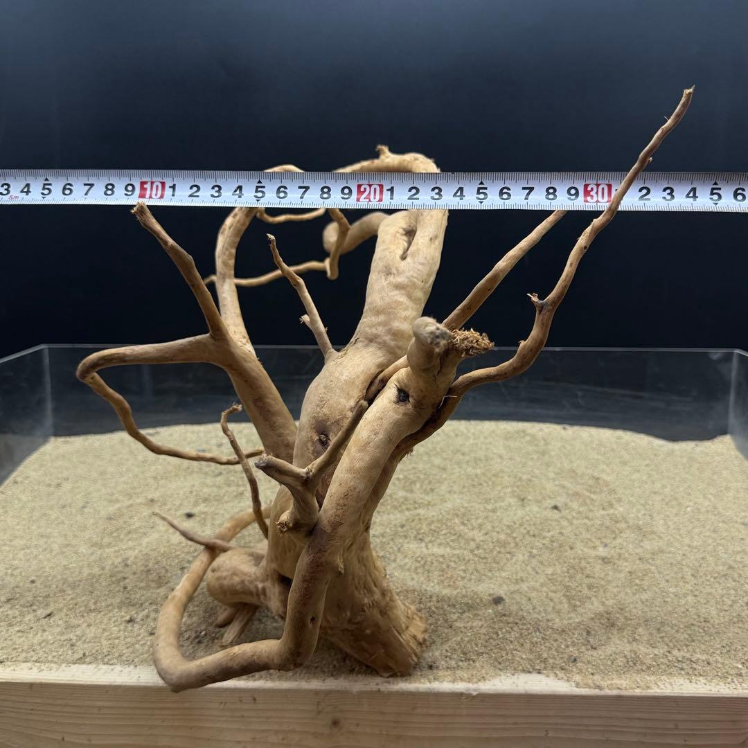 MDW-6989 特大ブランチウッド　流木　枝流木　アクアリウム