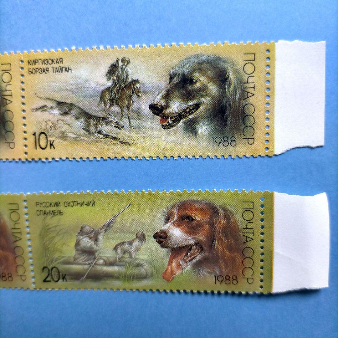 3129 外国切手 旧ソ連 1988年 狩猟犬 4種2組