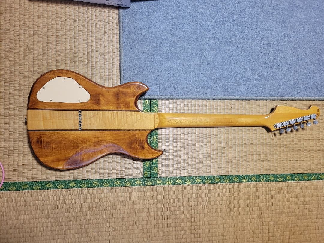 Aria pro TS500スタンダードシリーズ エレキギター