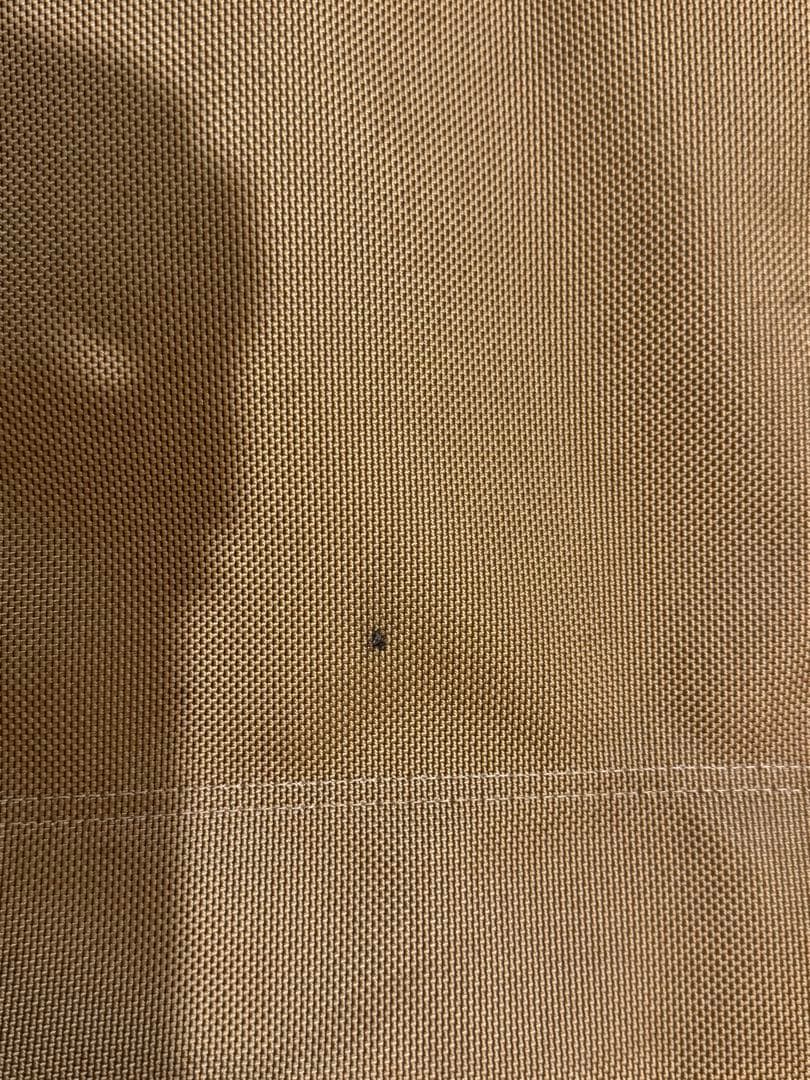 カーミットチェアマイスターシート　ベージュ　2枚セット