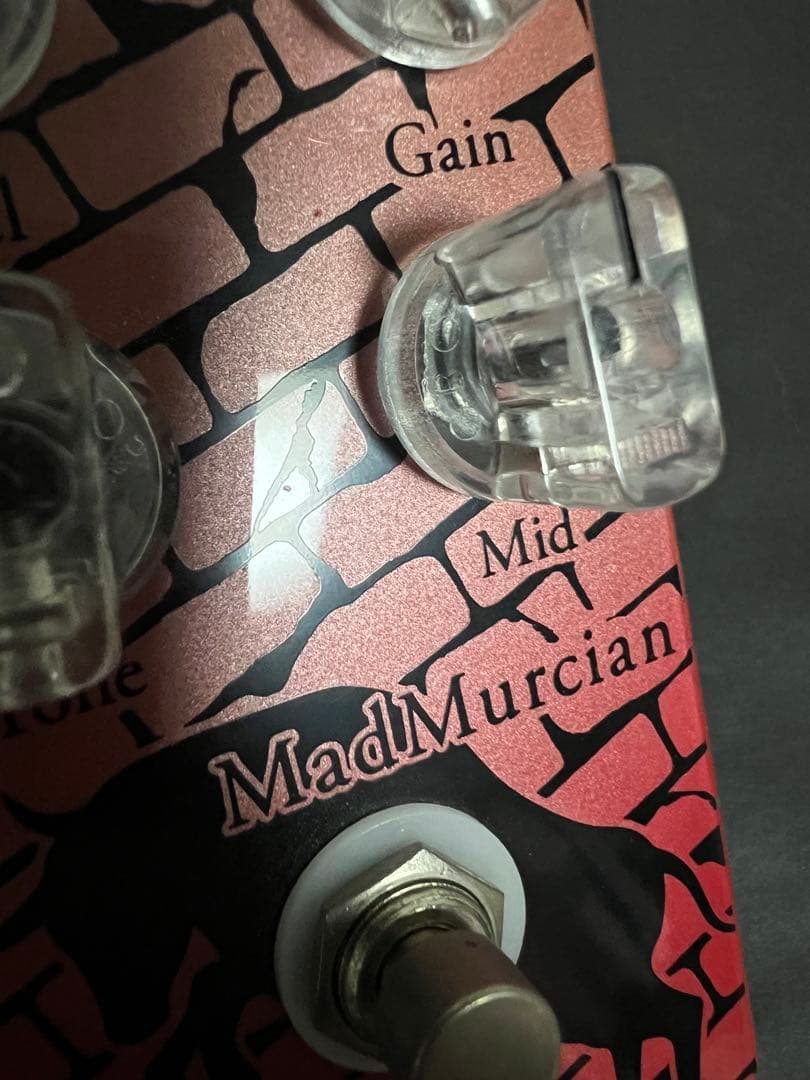 ギター Vivie MadMurcian