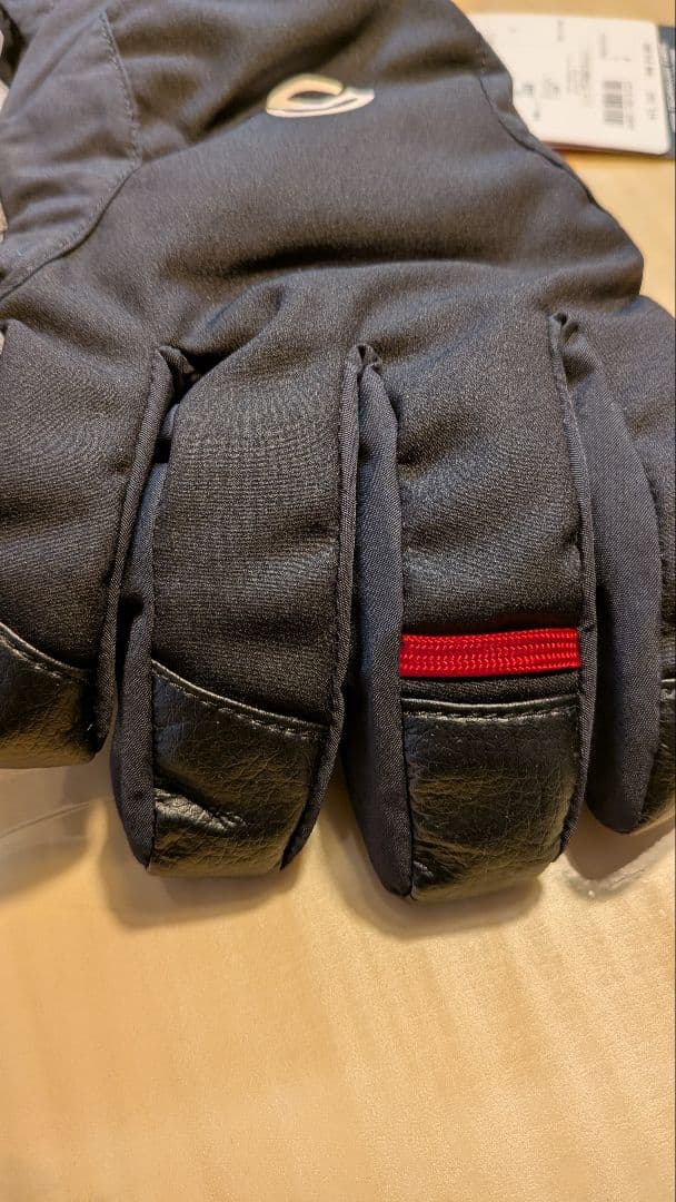 THE NORSH 　FACE(高性能 スキーグローブ)