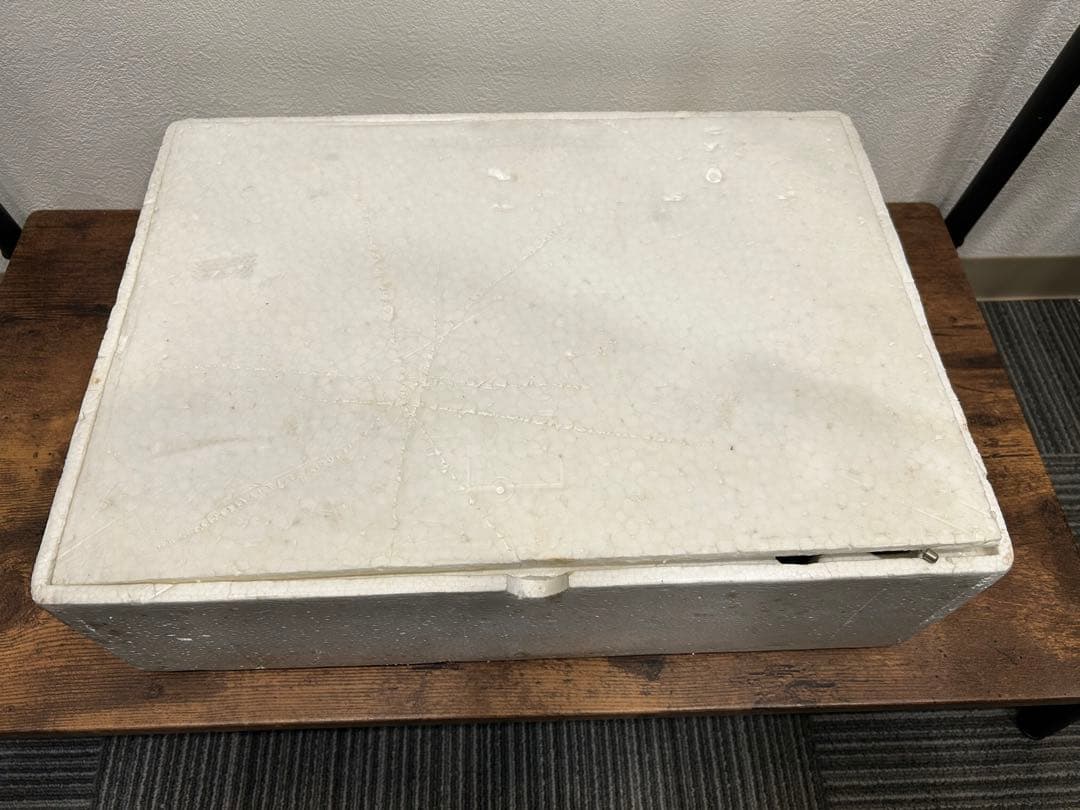 昭和レトロ　ライガー 童夢 零　１／12