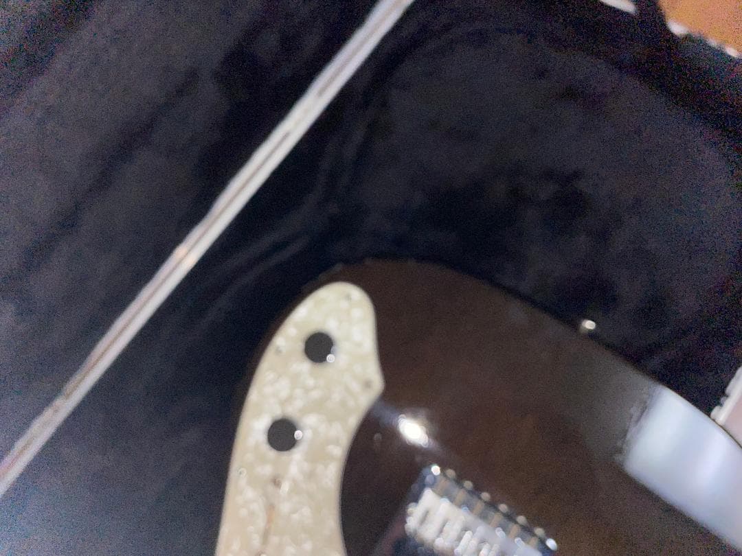 FREEDOM CUSTOM GUITAR BLACK PEPPER ケース付