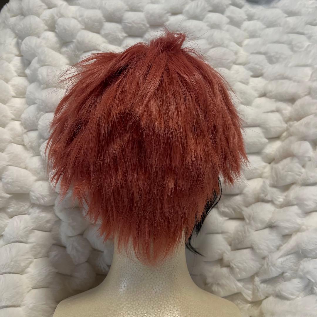 にじさんじ 赤城ウェン コスプレ ウィッグ付き