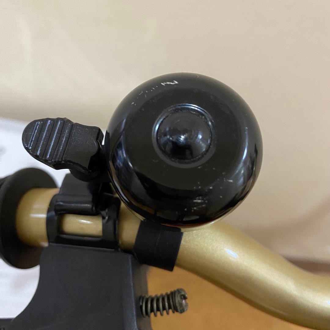 子供用　自転車　ディーバイク マスター 12インチ