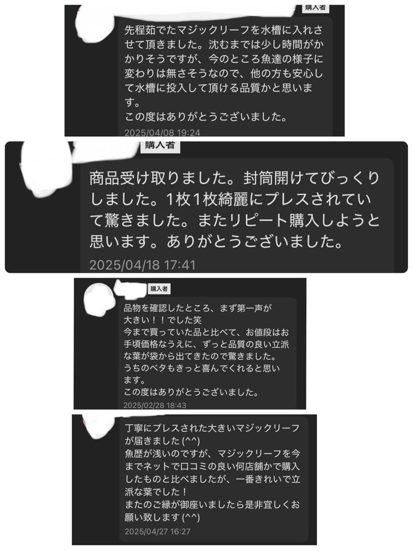 沖縄県やんばる産マジックリーフ 2kg UV殺菌灯照射済み①