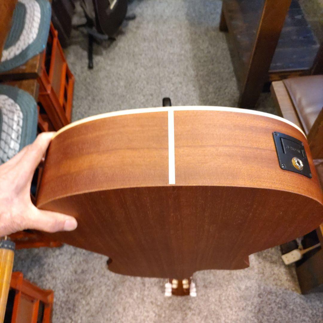 Alhambra Z-Nature CW EZ エレガット (管理カキ)