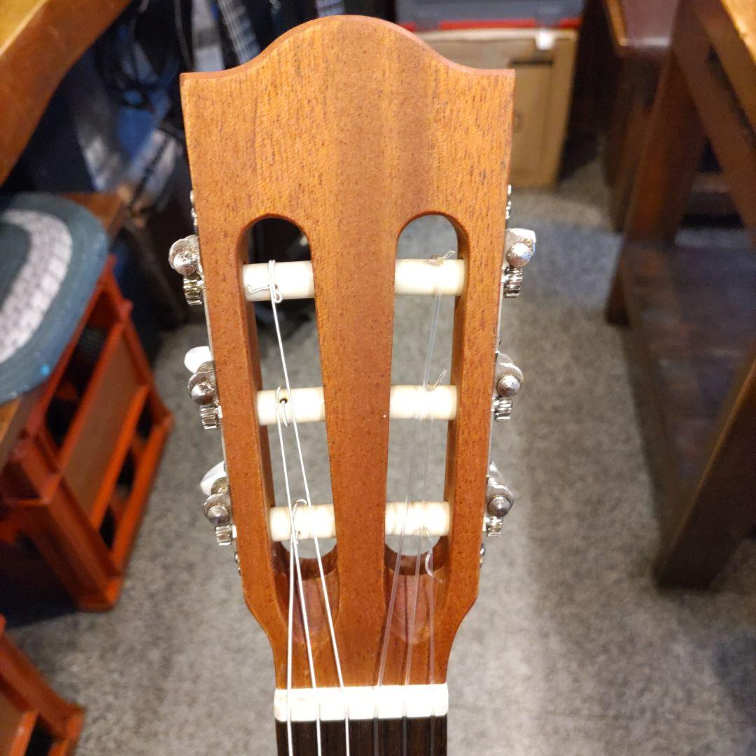 Alhambra Z-Nature CW EZ エレガット (管理カキ)