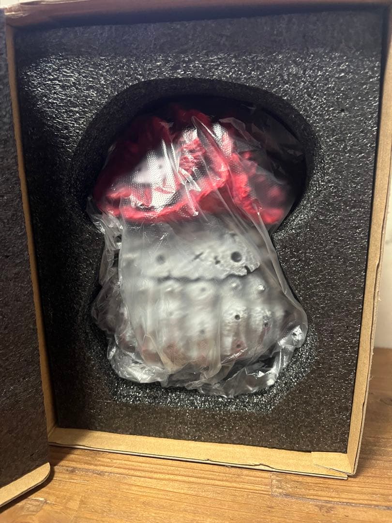 羅本製所 Copiapoa 黒王丸花季番紅花Robinceramicstudio