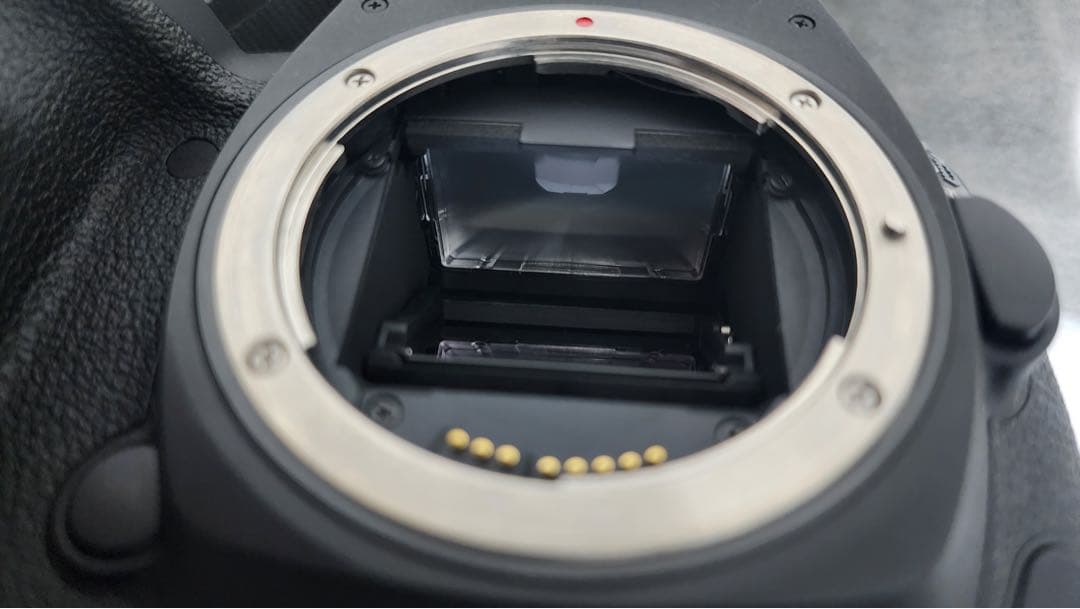 Wi-Fi/動画/canon EOS 5D Mark IVボディ、レンズセット