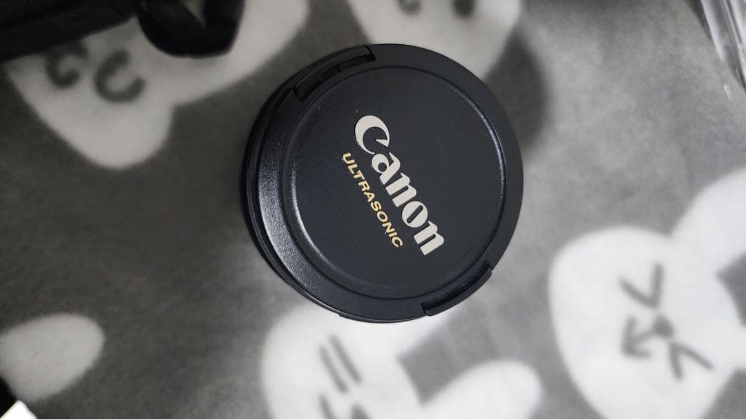 Wi-Fi/動画/canon EOS 5D Mark IVボディ、レンズセット