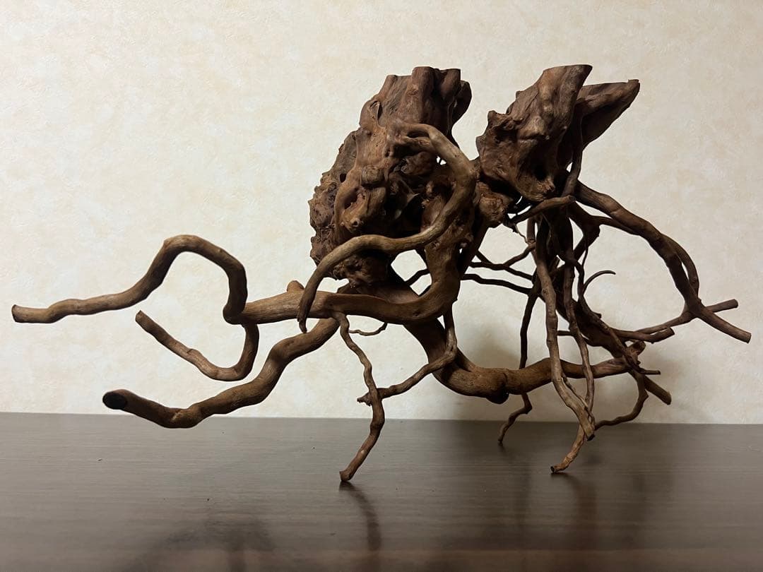 51608 ブランチウッド　流木　アクアリウム 沈水確認済