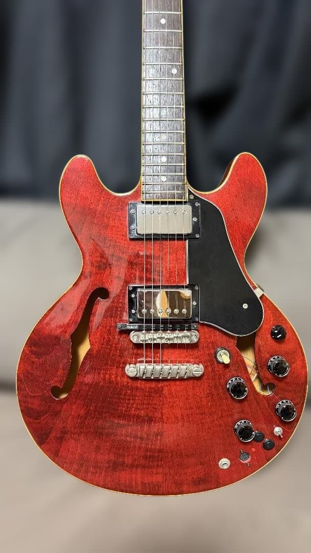 【希少・プロ施工】Greco SV-600 1979年 フジゲンGK内蔵カスタム