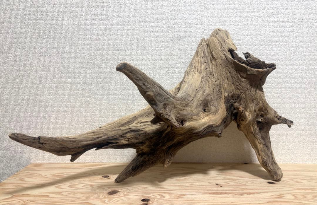 Ｇ87 流木　爬虫類　両生類　シェルター　観葉植物　インテリア　DIY