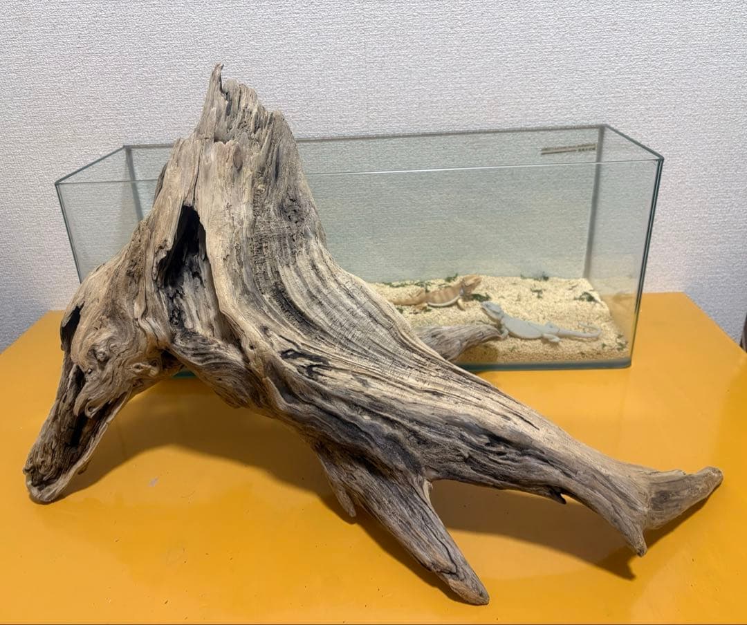 Ｇ87 流木　爬虫類　両生類　シェルター　観葉植物　インテリア　DIY