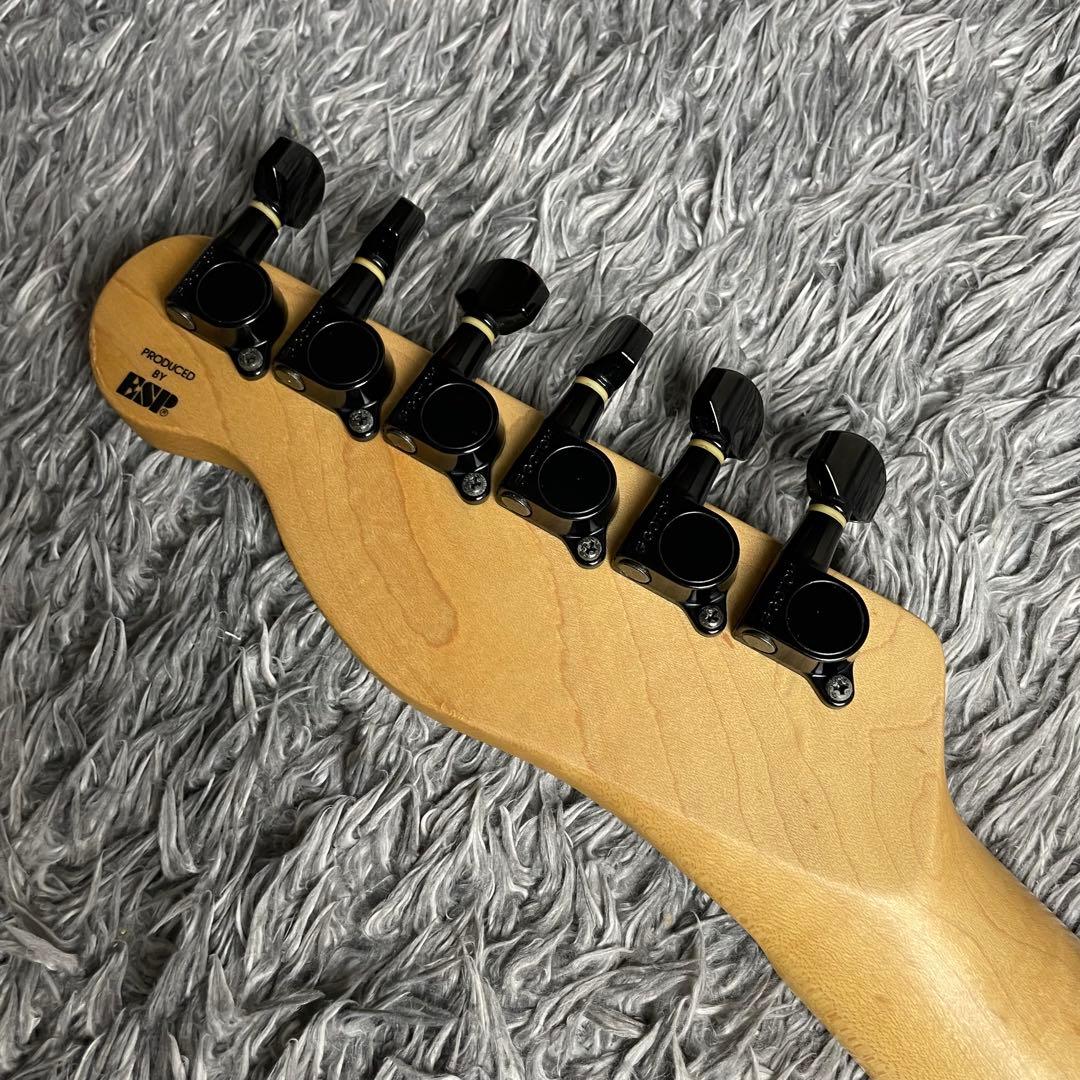 ギター Edwards E-D-TE