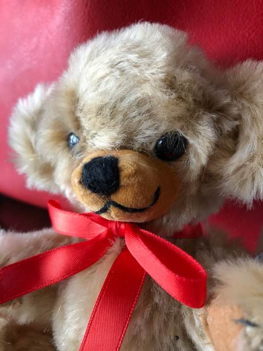 テディベア メリーソート社製 限定シリアルナンバー付