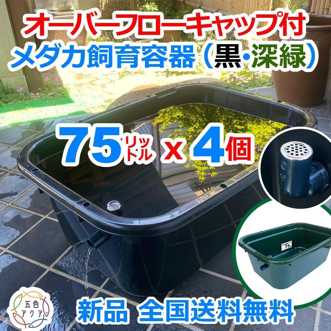 メダカ飼育ケース 75㍑x4個 黒・深緑あり オーバーフロー 金魚飼育容器 睡蓮