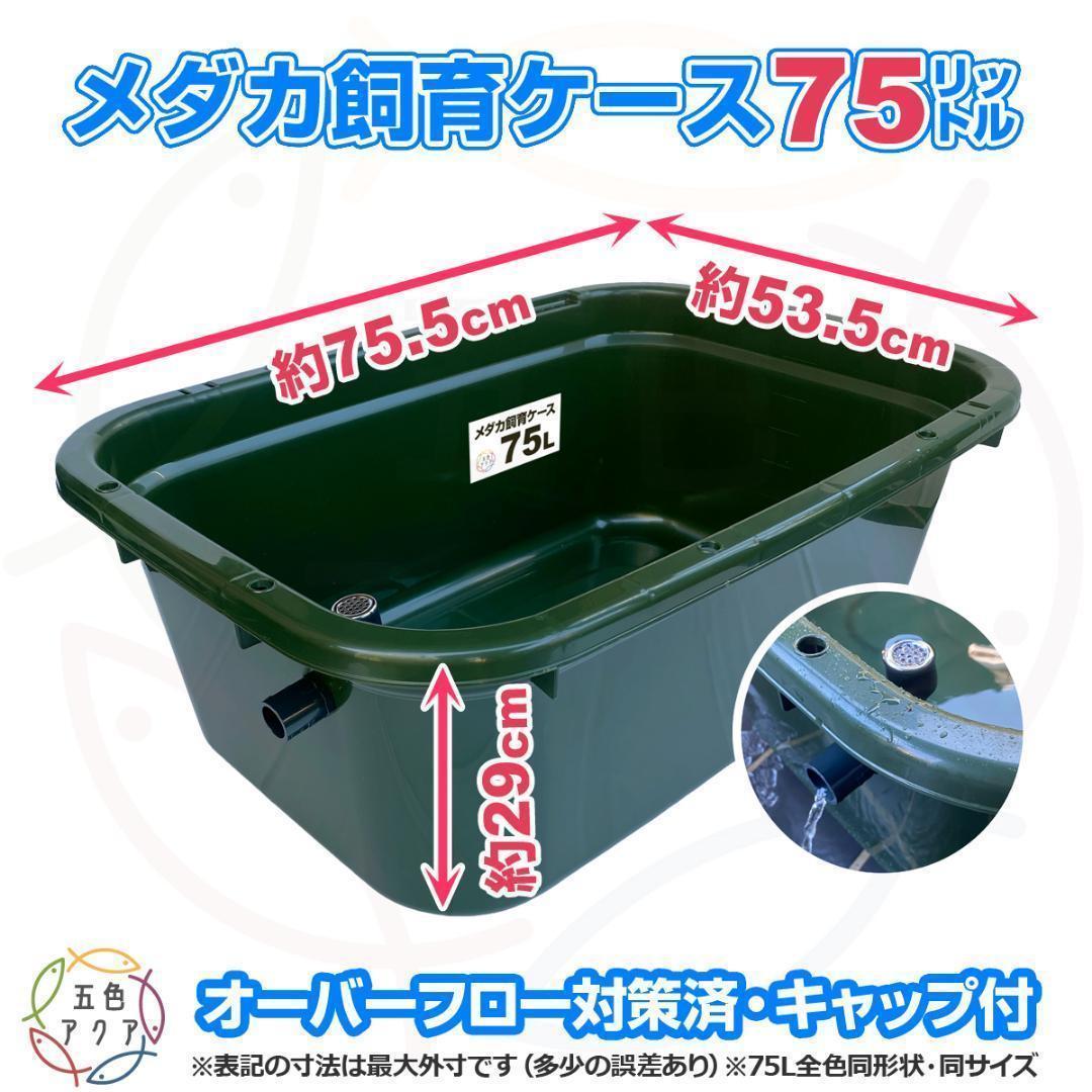 メダカ飼育ケース 75㍑x4個 黒・深緑あり オーバーフロー 金魚飼育容器 睡蓮