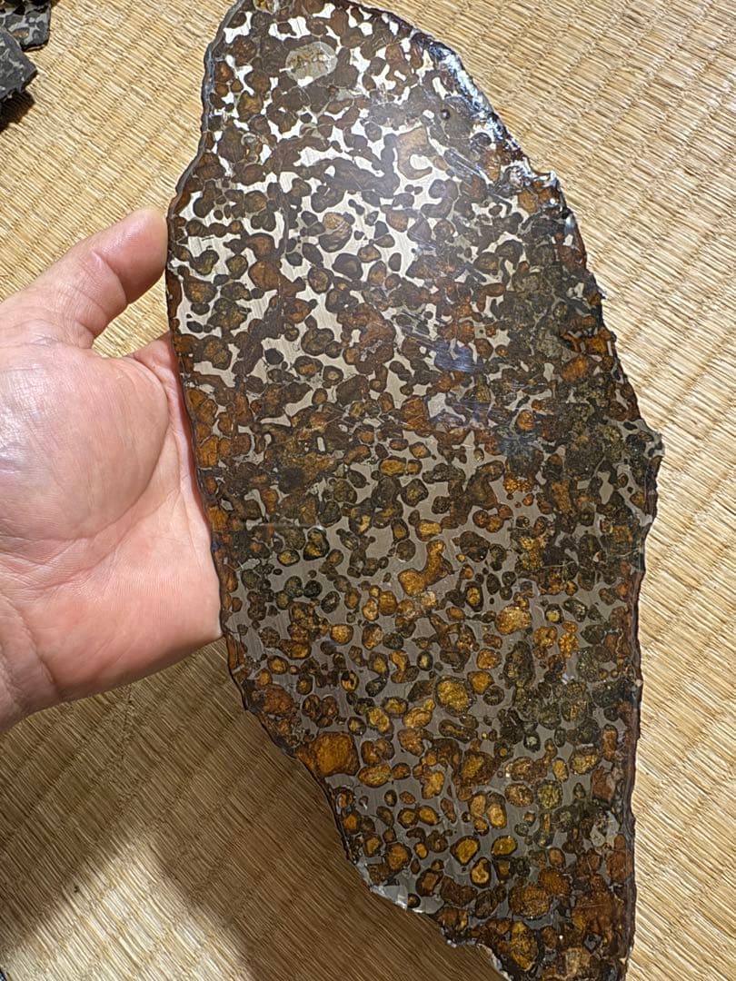 大型　希少 宇宙パワー パラサイト隕石 セリコ隕石　石鉄隕石 幸運 開運 金運