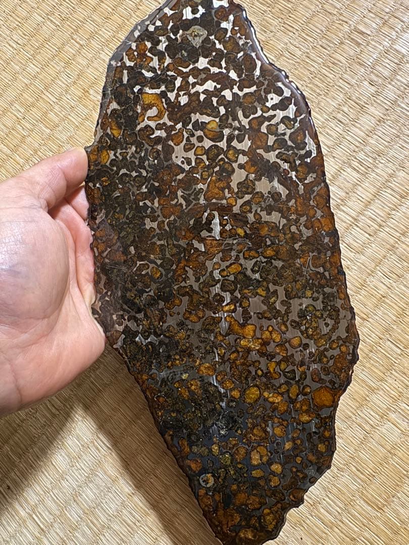 大型　希少 宇宙パワー パラサイト隕石 セリコ隕石　石鉄隕石 幸運 開運 金運