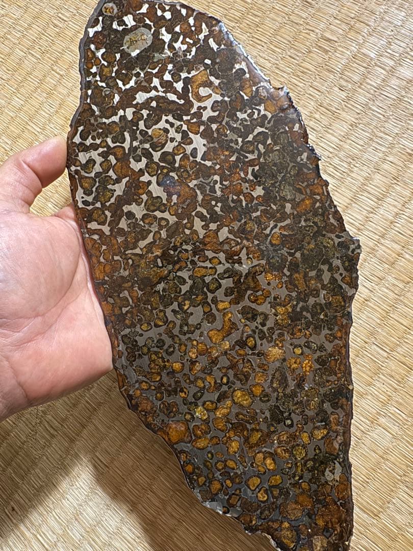 大型　希少 宇宙パワー パラサイト隕石 セリコ隕石　石鉄隕石 幸運 開運 金運