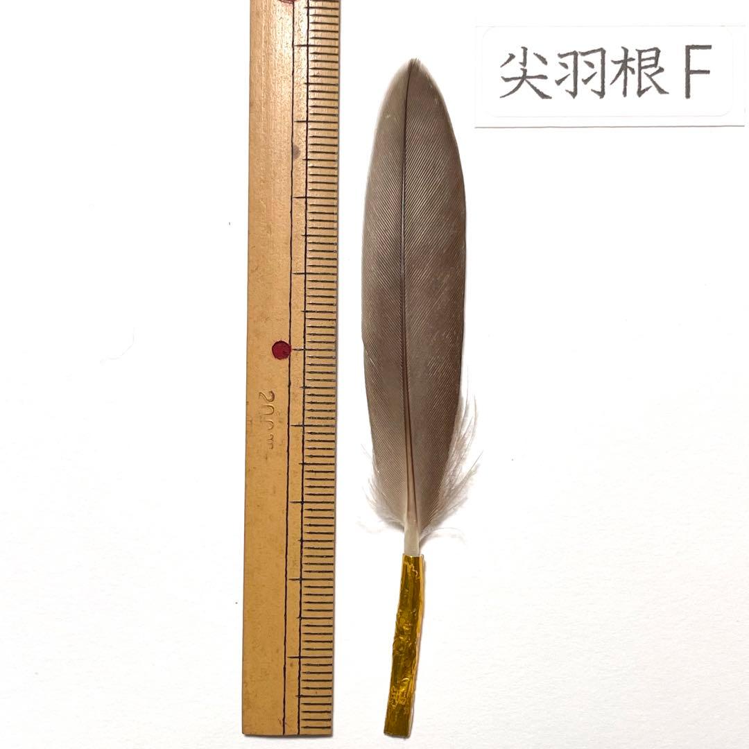 盆石道具 尖羽根 (F)