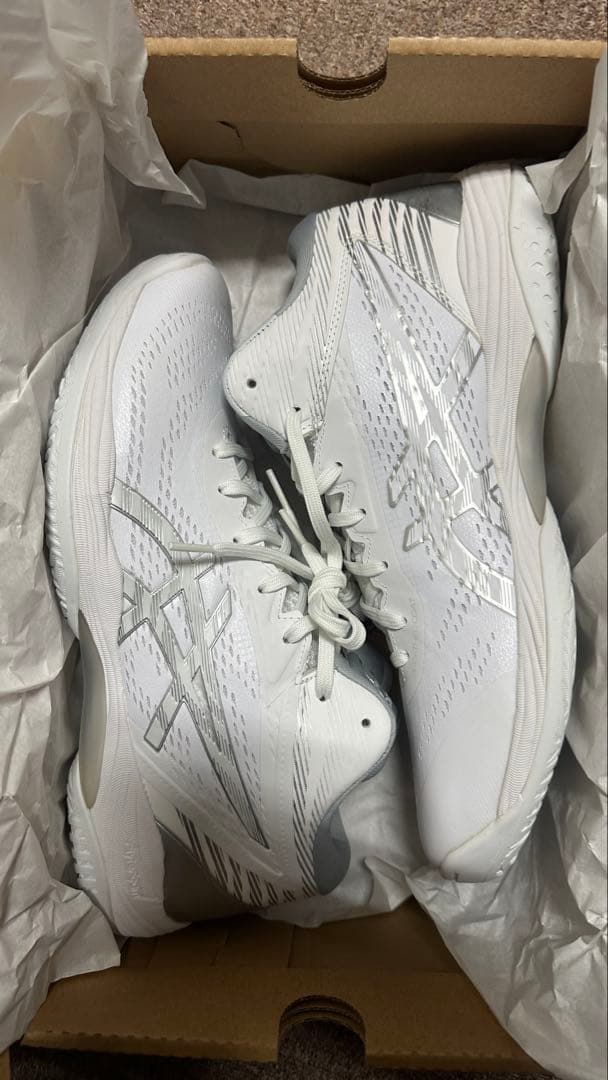 ASICS GEL HOOP V14バスケットボールシューズ 28.0cm