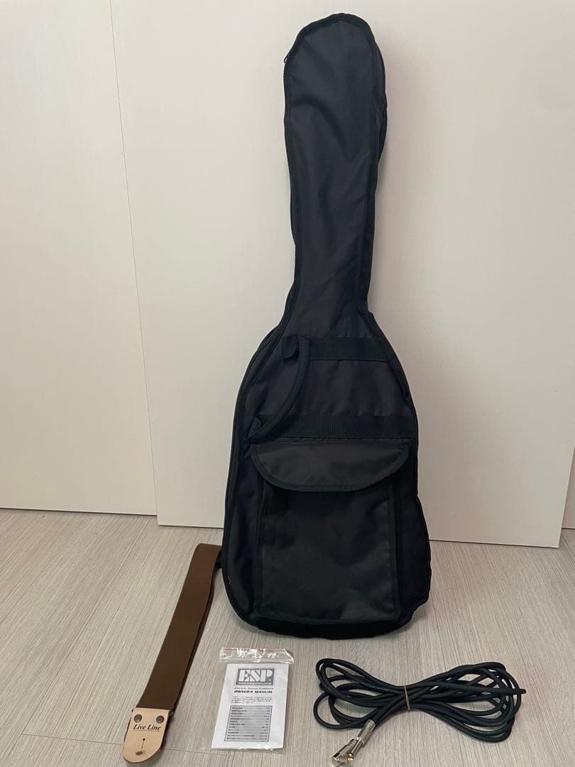 GrassRoots G-SN-45DX  White 白エレキギター