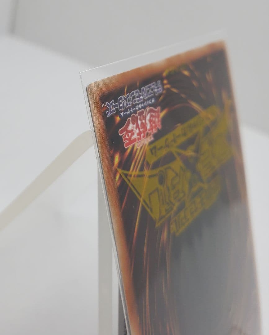 ち*く様 ※8/3日(23:59)まで出品 氷結界の龍 トリシューラDTC3-J