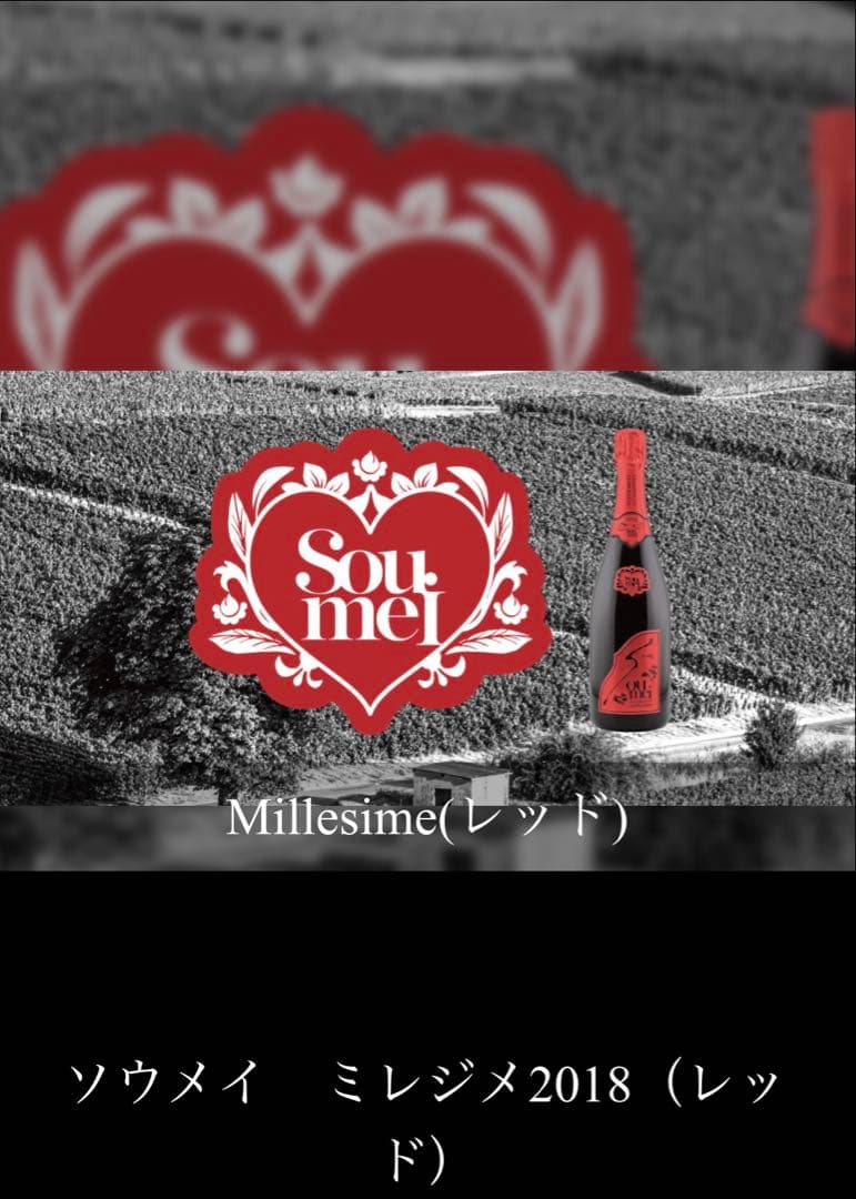 新品未開栓‼︎ソウメイ レッド ミレジメ 2018年 正規品 ケース付き